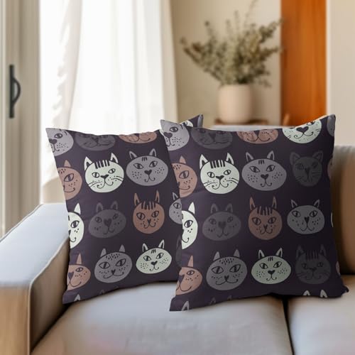 PAKAZA NbVJo[ ʔlR 菑 D  X C A   ybg Mtg NX}X nEB a 50x50cm 2Zbg ʈ Jo[ k zcJo[ \t@p  CeA ItBX 