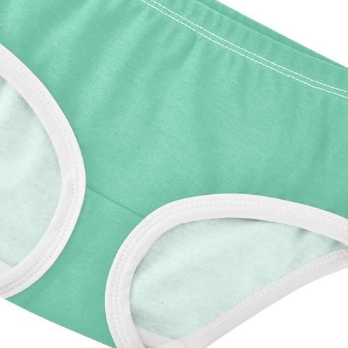 Joisal Aquamarine Green Girls Underwear Toddlers 2t Cotton Panties Little Girl Fancy Briefs Kids Undies4