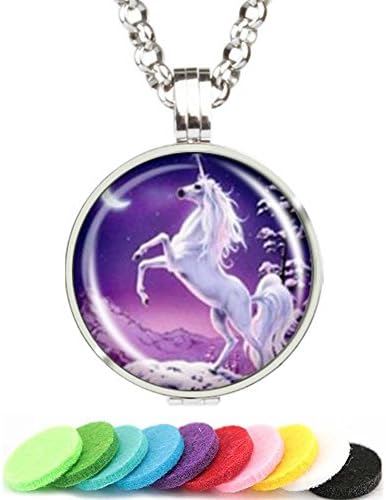 Aromatherapy Essential Oil Diffuser Necklace 316L Stainless Steel Locket Pendant with 24 Inch Chain