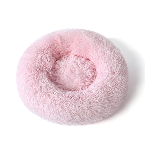 [ADSNS] ybgxbh ybgNbV J[7 ybg}bg ybg\t@ 90 Eh^ ӂӂ  g ~ ΍ Lpӂybgxbh ybgnEX 薰 ʔNKp ی^ L  p