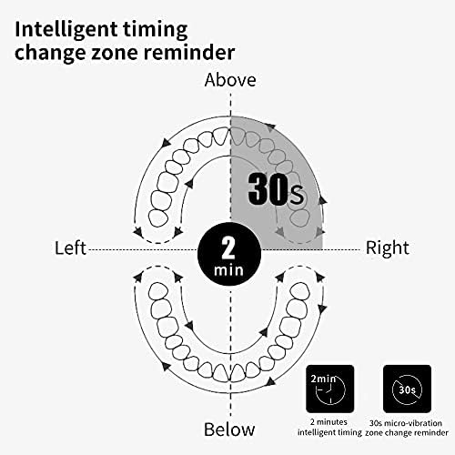 Electric Toothbrush Suitable for Children and Adults with Replaceable AAA Battery and Brush Head, Metal Handle, Dupont Soft Hair, 180 Days, V1 Sonic Toothbrush, Black