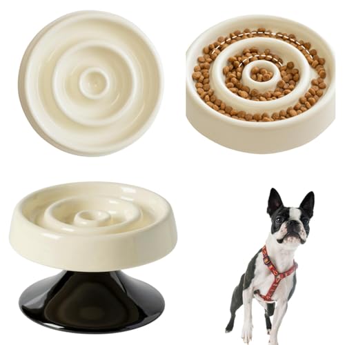 Lifetips {XgeA {Xg Lp X[t[h{E ؐ Hh~ ~ HZbg ^ L  􂢂₷ i-̌^^CvAC{[j