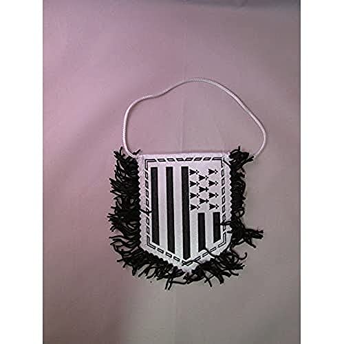 AZ FLAG - Wimpel Bretagne - 15x10 cm - Bretagne Mini Flagge 10 x 15 Cm - Auto Pennant Spezielle Auto