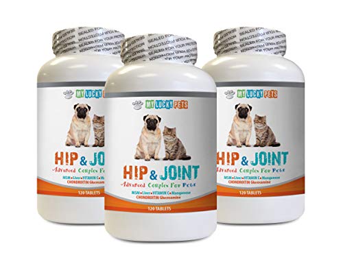 cat mobility aid - PET HIP AND JOINT COMPLEX - DOGS AND CATS - NATURAL VET APPROVED FORMULA - IMMUNE BOOST - GOOD FOR STIFF JOINTS - manganese supplement for cats - 3 Bottles (360 Tabs)
