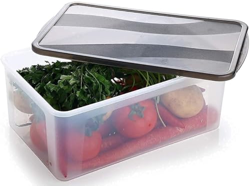 Image of TASMAX Fridge Storage Boxes, Plastic Fridge Containers, Fridge Accessories Items, (LUMI FRIDGE CONTAINER 6SET)