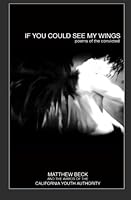 If You Could See My Wings: Poems of the Convicted 1456382020 Book Cover