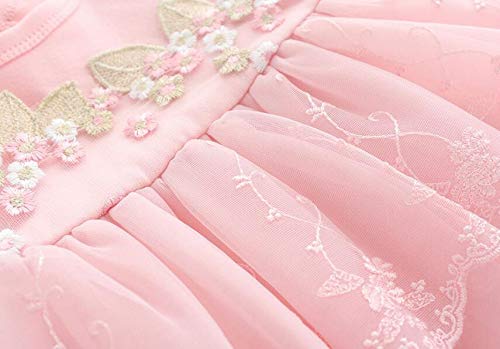 Baby Girls Princess Dress 1St Birthday Dress Outfit Wedding Christmas Party Dress Hat Headband Tights Shoes Set (Pink (5 Pcs Set),3-6 Months) #TOP3