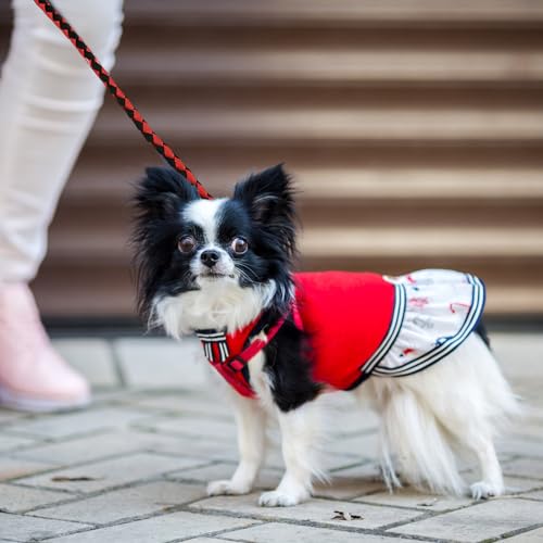Tibapla Doppelleine für 2 Hunde, Verhedderungsfreie Hundeleine Verstärkung Doppelleine Hundeleine, mit Gepolsterten Griffen für Hunde Klein Mittlere und Große Lauftraining, 10mm*140cm (Black)