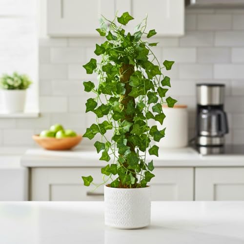 Image of fancymart Artificial Green Leaf Hanging Creeper on Moss Stick (Without Pot) - 60 cm Tall Hanging Creeper Plant for Indoor Home, Office, Restaurant & Cafe Decoration