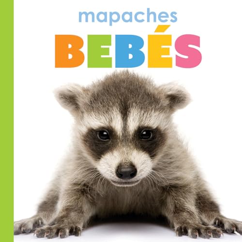 Mapaches bebés (Spanish Edition)