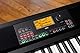 Korg - XE20SP 88 Key Digital Ensemble Piano with Automatic Accompaniment including Stand - Black