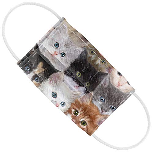 Popfunk Cats & Kittens Kids 1-Ply Reusable Face Mask Covering with Adjustable Nose Wire