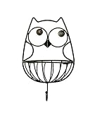 Boston Warehouse Wall Hanging Owl Metal Basket Hook