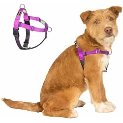 APDEXY Easy Walk No Pull Dog Harness, Purple, Medium | Freedom Harness, Front and Back Clips, 2 Stainless D-Rings, Sewn-in Instructions Tags For Easy Use
