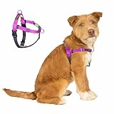 APDEXY Easy Walk No Pull Dog Harness, Freedom Walk with Front and Back Clips Stainless D-Rings, Comfortable, Sewn-in Instructions Tags for Easy Use, for Medium Dogs Weight 30-39lbs (Purple, M)