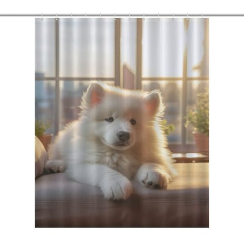 Rideau de douche chien en tissu polyester imperméable 152x183cm avec 12 crochets - 7