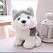 Cute Huskies Peluche Giocattoli per Bambini Simulazione Cane Due Ha Doll Mini Piccolo Akita Dog Rag Bambola Husky 23 cm