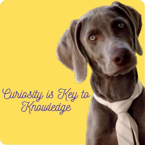 Curiosity is Key to Knowledge cover art