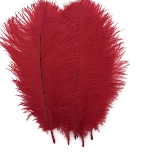 Shekyeon Red 10-12inch 25-30cm Ostrich Feather Home Decoration DIY Craft Pack of 10