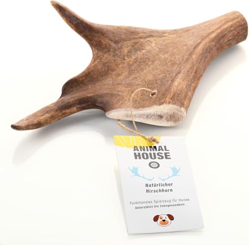 Animal House – Damhirschgeweih für Hunde – 100% natürlicher Kausnack – Stärkt die Mundhygiene – Widerstandsfähig und langlebig – In Allen Größen erhältlich (XL)