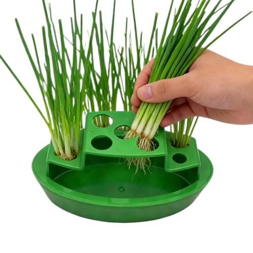 Genérico Macetero De Verde – Contenedor De Crecimiento De Cebolleta con Autorriego, Alféizar De Ventana, Cultivo De Balcón De Cocina | De Cultivo Vegetal Verde del ABS El 15.5x9x7.4cm con La Hierb