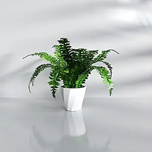 Decor & More - Artificial Plants for Home Decor| Real Looking Plants with Pot | Plastic Waterless Small Faux Plants with Melamine Pot and Fake Moss for Indoor, Areca Palm