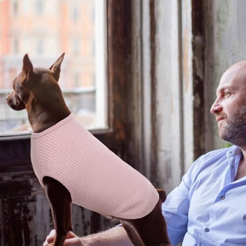 Hundeshirt für Kleine Hunde | Sommer Hund T-Shirt Atmungsaktiv & Leicht | Weich & Bequem, Rundhals Design | Hunde Bekleidung | Chihuahua (Rosa XXS)
