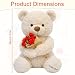 Imagen de Mineup Oso de Peluche con Rosa