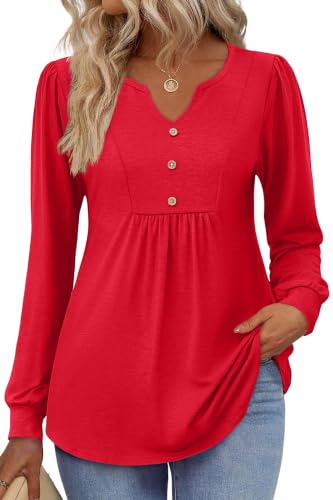 Image of Zeagoo Womens Long Sleeve Tops Fall V Neck Shirt Casual Pleated Tunic Top