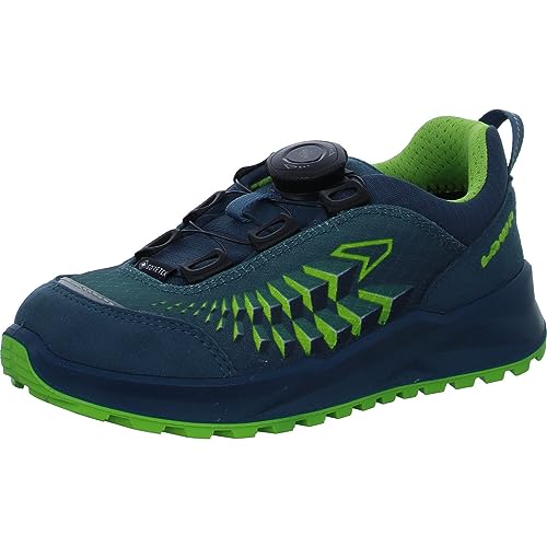 LOWA Adult FERROX GTX LO JUNIOR Others2