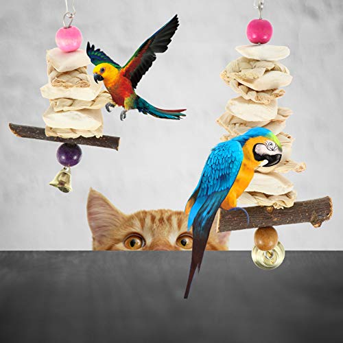 POPETPOP 2Pcs Natural Cuttlebones Cuttlebones Dentes Molar Toy Chew Toy Gaiola de Pássaro Pássaro de