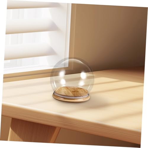Cúpula para flores preservadas HAMPPLIES vitrina protectora antidespolvoreo transparente de 12cm 6