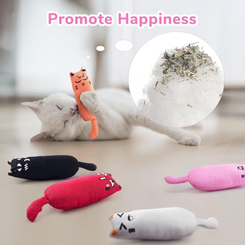 Legendog 5Pcs Bite Resistant Catnip Toy for Cats,Catnip Filled Cartoon Mice Cat Teething Chew Toy - Image 4