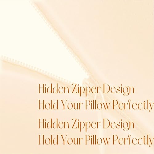 Image of 2 Pack Zippered Satin Toddler Pillowcaes, 14x 20 Inches, Luxury and Silky Soft Travel Zip Pillow Cases (14x20 Inch (Pack of 2), Champagne)