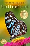 Picture Book of Butterflies: 80 Stunning Photos & Facts with Video, for Dementia Patients and Seniors with Alzheimer's (Uplifting Picture Books)