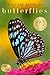 Picture Book of Butterflies: 80 Stunning Photos & Facts with Video, for Dementia Patients and Seniors with Alzheimer's (Uplifting Picture Books)