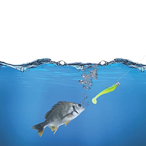 Zruoyi Paddle Tail Swimbaits 2 Inch Two-Tone Color Swim Baits 40 Pcs Fishing Worms With 5 Color Soft Plastic Bass Lure Baits #TOP5