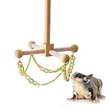 Wellensittich Schaukel | Holz Schaukel Spielzeug Für Kleine Haustiere | Bewegungsspielzeug Für Nymphensittiche | Für Meerschweinchen Frettchen Igel Hamster Chinchilla Wellensittich