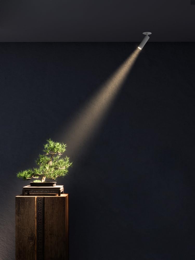 Pack of 2 Recessed Flush Mount LED Ceiling Project Light Fixture Adjustable Spotlight Picture Artwork Starry Hotel Bedroom 5W 15° Beam Angle Warm White