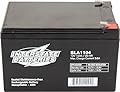 Interstate Batteries 12V 12Ah Battery (F2 Terminal) SLA AGM VRLA Rechargeable Replacement for Electric Fences, Generators, Medical Devices, Universal Power (SLA1104)