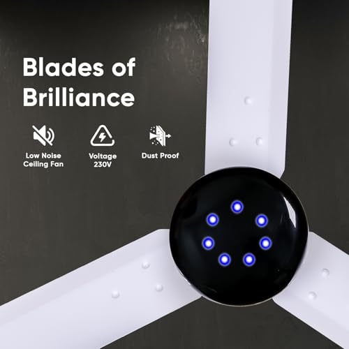 Product Variant View