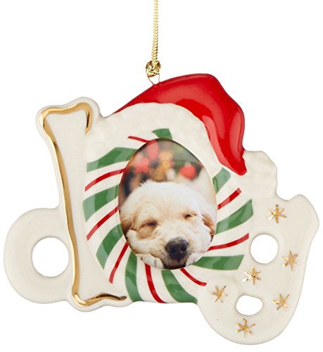 Lenox Dog Frame Ornament/Magnet