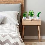 MyGift Artificial Assorted Plants Faux Tabletop Greenery in White Square Ceramic Pots, Set of 3