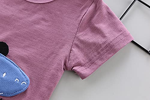 Roupas infantis para meninos de 6 meses a 3 anos camiseta de dinossauro 3D + shorts moda casual conj
