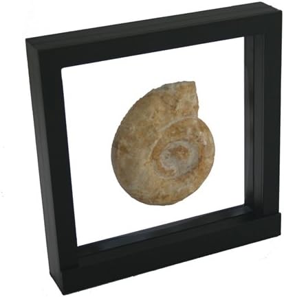 Black 3D Floating Frame. Unique Way to Showcase Your collectables