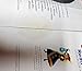 Tinker Bell and the Pirate Fairy Read-Along Storybook and CD
