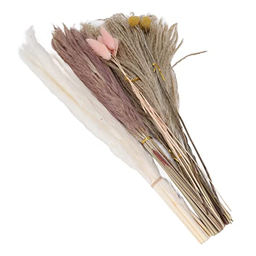 Buquê de Flores Secas, Grama de Pampas de Longa Duração Com Tecnologia Fina 70 Unidades para Quarto