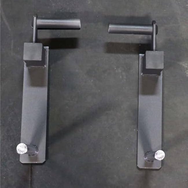 Titan Fitness Mini Farmer's Walk Handles with Standard Weight Posts Pair