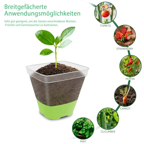 BEIUEN Pack of 10 8 cm Anzuchttöpfe Transparent with Silicone Base. Reusable Plastic Square Plant Pots,Transparent Plant Pots for Succulents, Seedlings