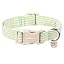 Stripe Green
